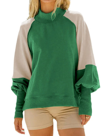Casual Color Block Lantern Sleeve Sweatshirt DP25E472