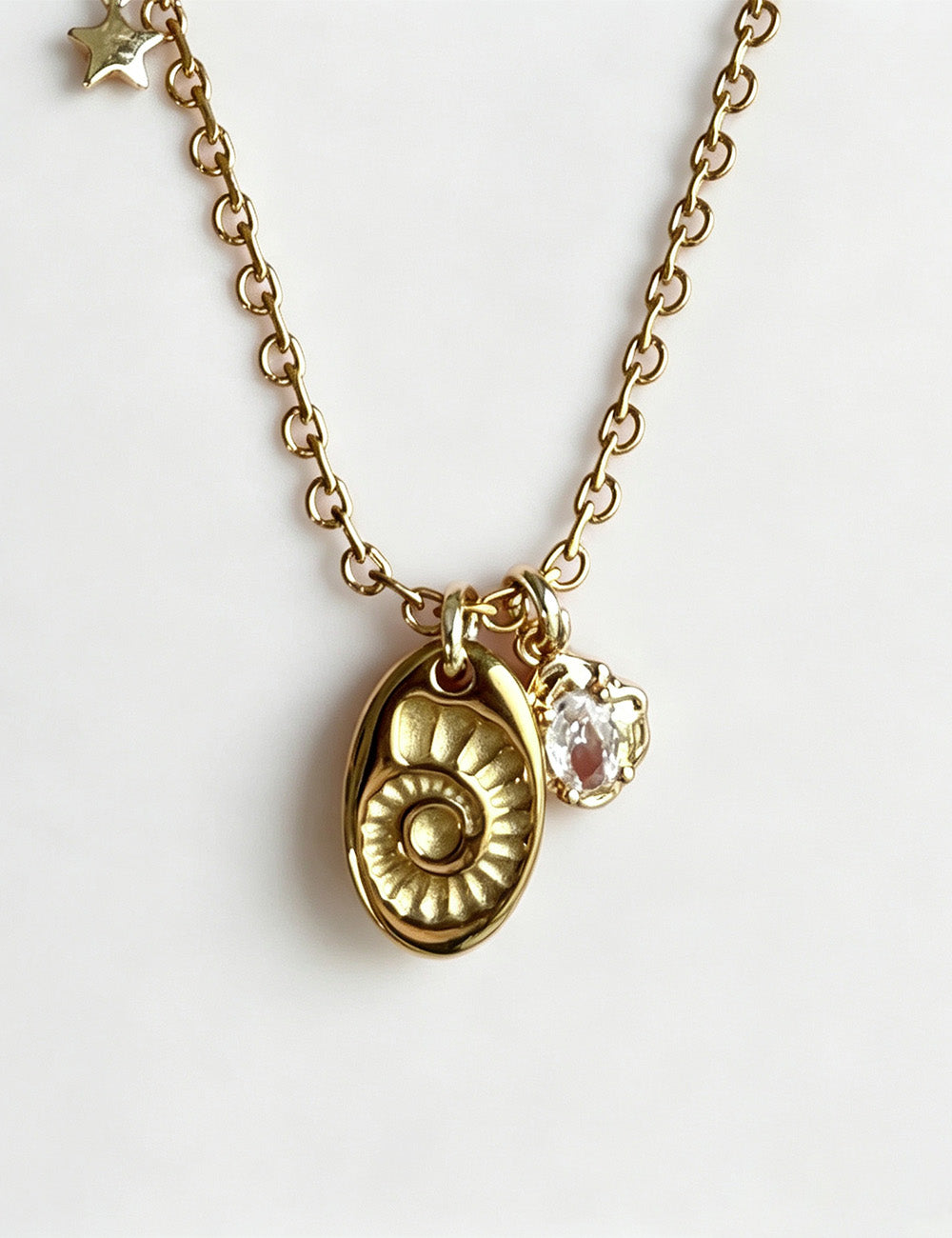 Sea Conch Choker Necklace - DippedShop Wholesale - #3315