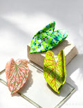 Creative Leaf Large Acetate Hair Claw 6W6HCP1638