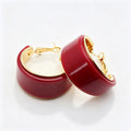 Simple Solid Color Resin Hoop Earrings 6W6JER555