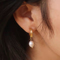 Pearl C-Shaped Stud Earrings - DippedShop Wholesale - #5779