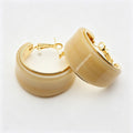 Simple Solid Color Resin Hoop Earrings 6W6JER555