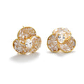 Shell C-Shaped Stud Earrings - DippedShop Wholesale - #7635
