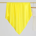 Minimalist Solid Color Soft Square Satin Scarf 6W6NSC234