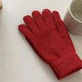 Elegant Solid Color Thicken Warm Knit Gloves 6W6GLO50