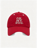 Chic Letters Embroideried Wide Brim Baseball Caps MK2COW6W6HAT209