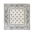 Minimalist Paisley Versatile Square Scarf MK2BW6W6NSI27