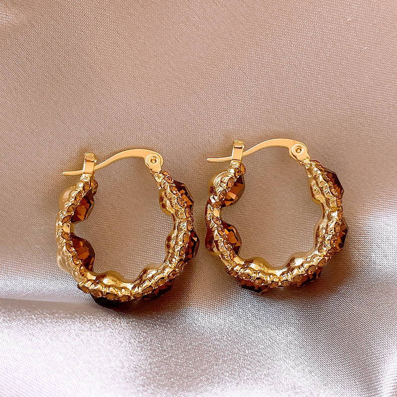 Coffee Crystal Circle Elegant Hoop Earrings DPJE1706