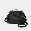 Vintage Kiss-Lock Large Capacity Crossbody - DippedShop Wholesale - #5651
