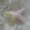 Cute Iridescent Flower Geometric Hair Claw 8AS6HCP307L