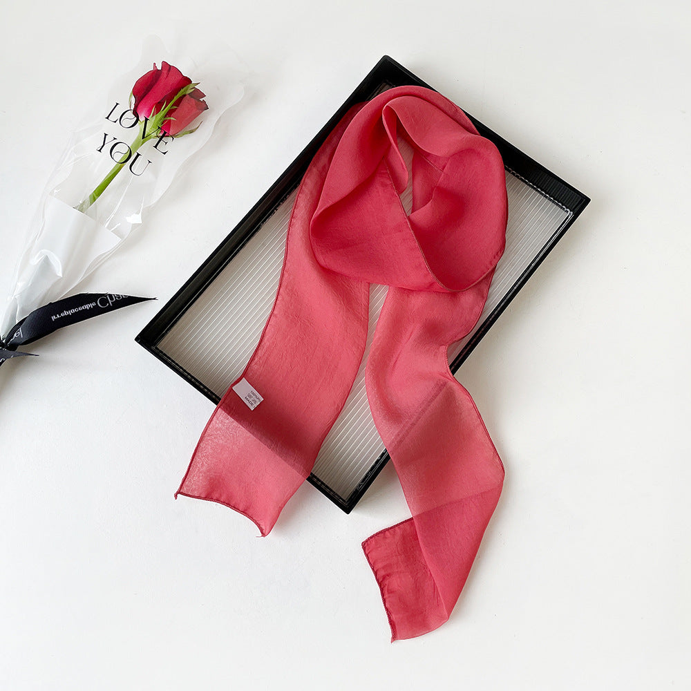 Elegant Thin Ribbon Scarf - DippedShop Wholesale - #2387