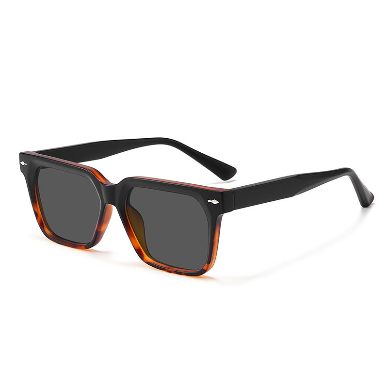 Square Large Frame Polarized Sunglasses DP25B601