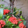 Hummingbird Painted Stained Glass Window Suncatcher 6H7HLS182