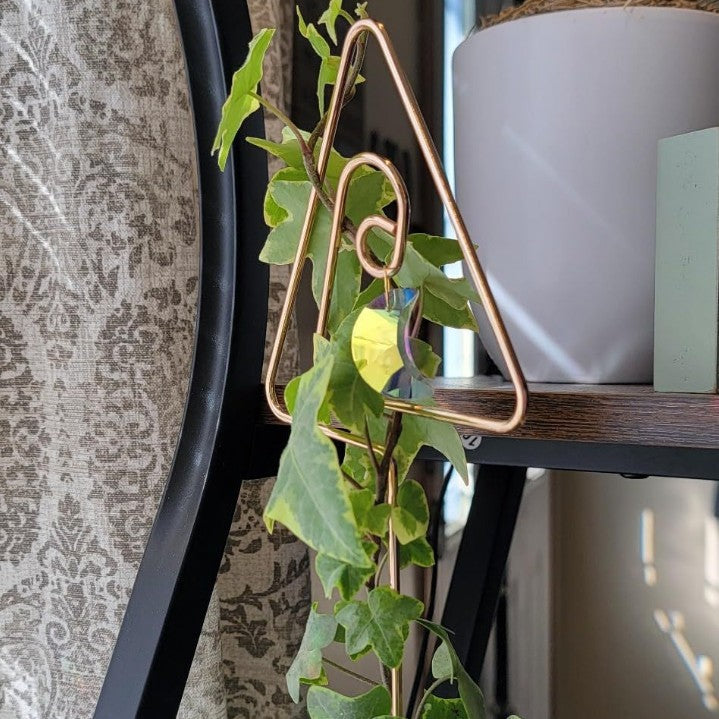 Mini Indoor Plant Crystal Suncatcher 6H7HLS227