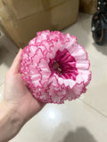 Elegant Lace Trim Ruched Oversized Hair Scrunchie 6W6HSR472