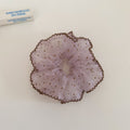 Vintage Polka Dots Wave Edge Fairy Scrunchies MK2BW6W6HSR84