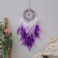 Crystal Chip Feather Dream Catcher 6H7HLS224