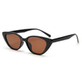 Trendy Cat Eye Sunglasses - DippedShop Wholesale - #5667