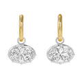 Elegant Rhinestones Pendant Hoop Earrings 6W6JER585