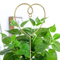 Minimalist Gold Metal Plant Trellis 6H7HLS226
