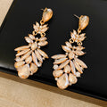 Vintage Droplet Rhinestones Tassel Drop Earrings 6W6JER800