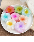 Fashion Flower Beach Mini Hair Claw 8AS6HCP284L