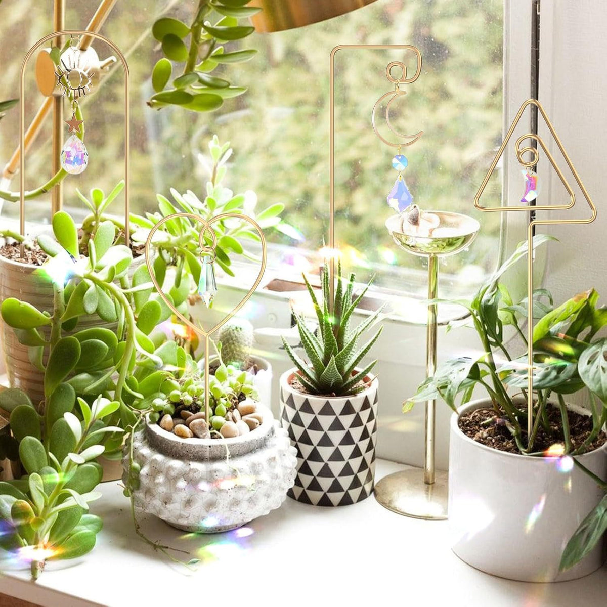 Mini Indoor Plant Crystal Suncatcher 6H7HLS227