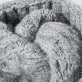 Cable Knit Beanie Hat - DippedShop Wholesale - #7795
