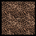 Vintage Cashew Print Square Silk Scarf 6W6NSI179