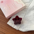 Minimalist Solid Color Hollow Star Hair Clip 8AS6HCP390L