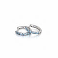 Elegant Rhinestones D-shape Hoop Earring 6W6JER576