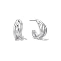 Irregular Twist Wavy Line C-shaped Earrings 6W6JER571