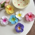 Gradient Hibiscus Hair Claws - DippedShop Wholesale - #1699