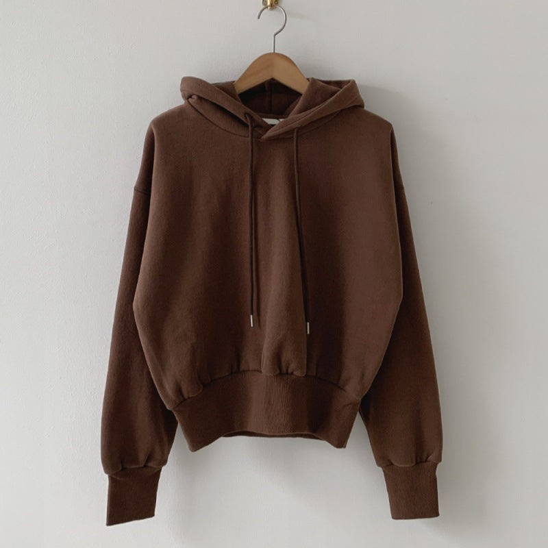 Loose Hooded Hoodie - DippedShop Wholesale - #8499