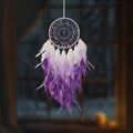 Crystal Chip Feather Dream Catcher 6H7HLS224