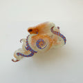 Funny Octopus Shape Acetate Ha - DippedShop Wholesale - #5571