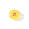 Cute Sweet Flower Beach Acetate Hair Claw 8AS6HCP325T