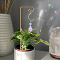 Mini Indoor Plant Crystal Suncatcher 6H7HLS227