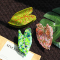 Creative Leaf Large Acetate Hair Claw 6W6HCP1638