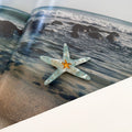 Simple Ocean Style Starfish Acetate Hair Clip 8AS6HCP312T