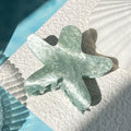 Cute Sparkly Starfish Acrylic Hair Claw MK2PPM6W6HCP347