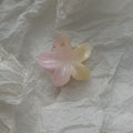 Cute Iridescent Flower Geometric Hair Claw 8AS6HCP307L