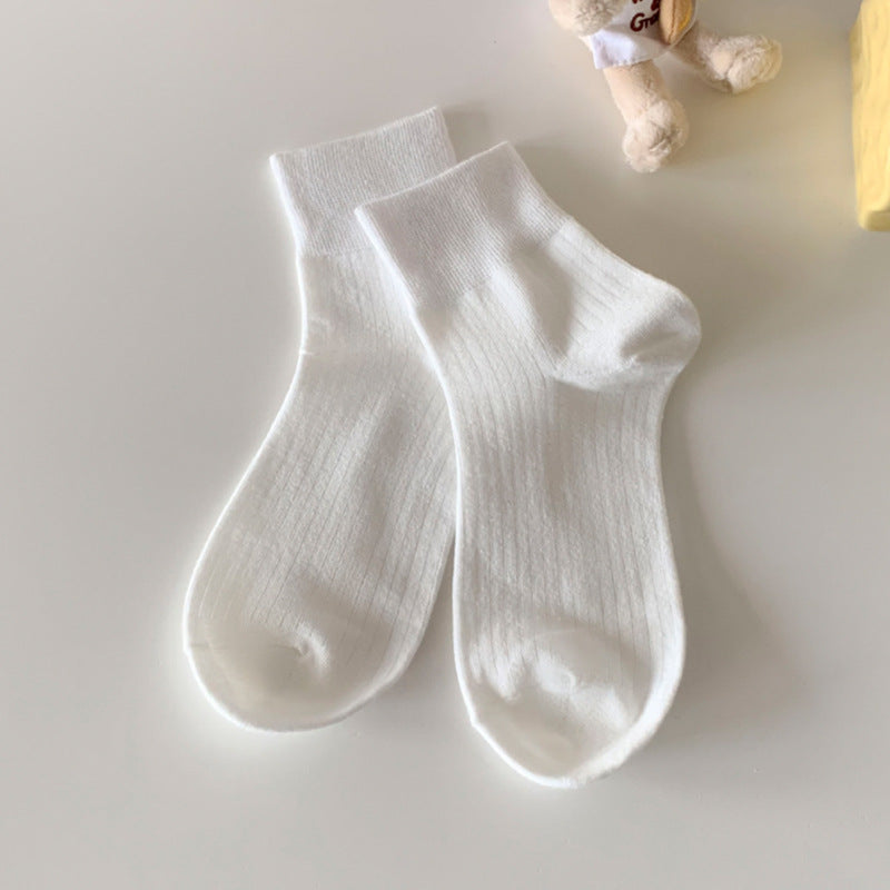 Ribbed Candy Color Socks - DippedShop Wholesale - #7363