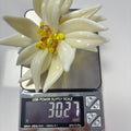 Floral Statement Stud Earrings - DippedShop Wholesale - #2947