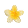 Vintage Flower Hair Clip - DippedShop Wholesale - #6035
