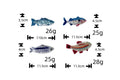 Stylish Iridescent Pilchard Sh - DippedShop Wholesale - #7075