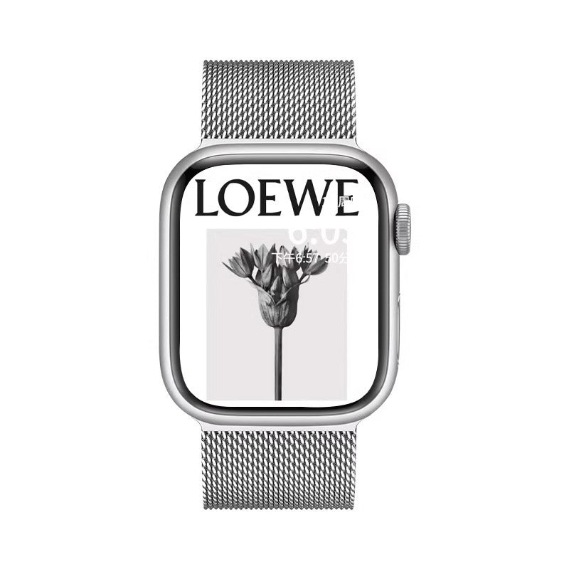 Minimalist Solid Color Magnetic Watch Band 6W6JWA139