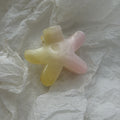 Cute Iridescent Flower Geometric Hair Claw 8AS6HCP307L