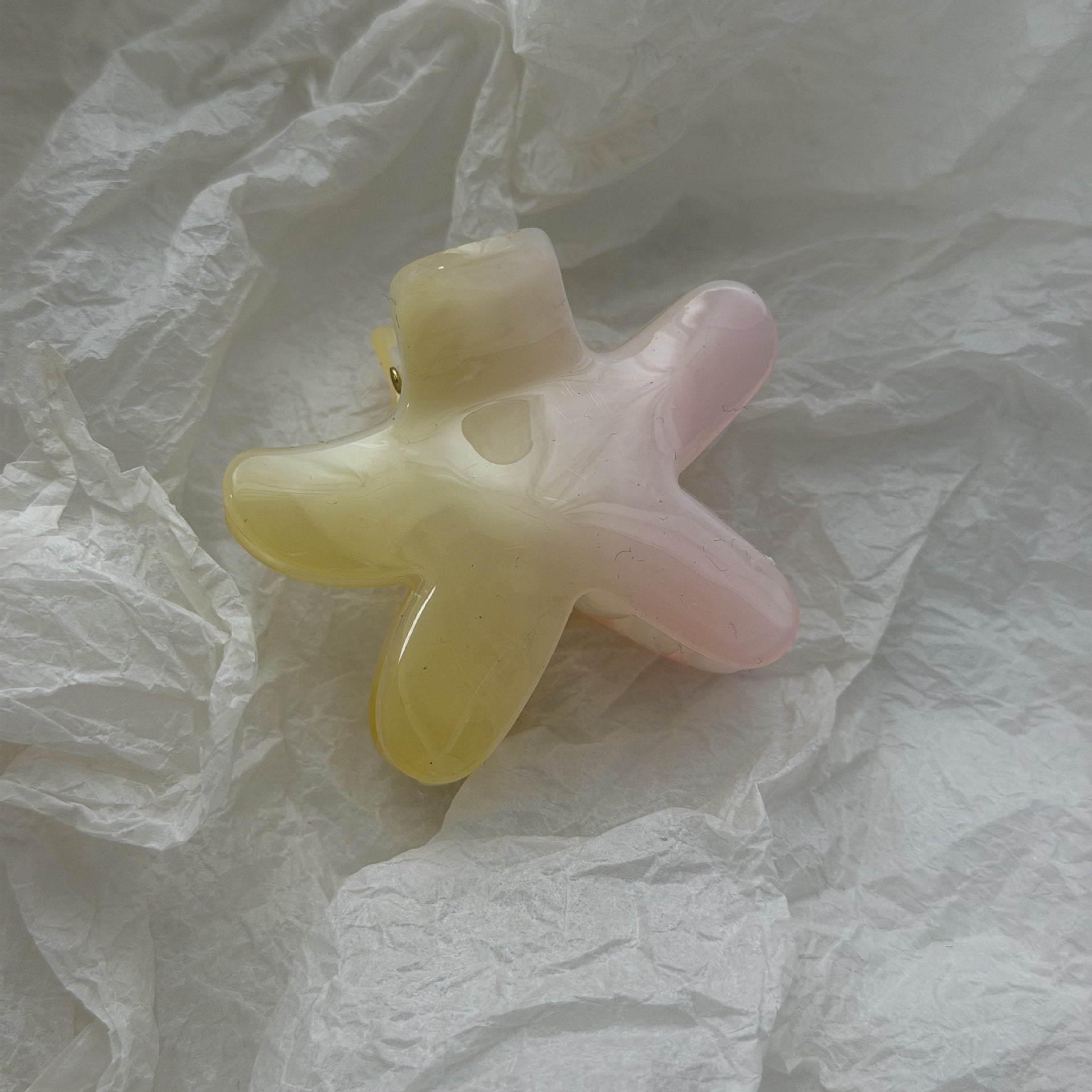 Cute Iridescent Flower Geometric Hair Claw 8AS6HCP307L