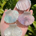 Iridescent Rhinestone Shell Acetate Hair Clip 6W6HCP1270